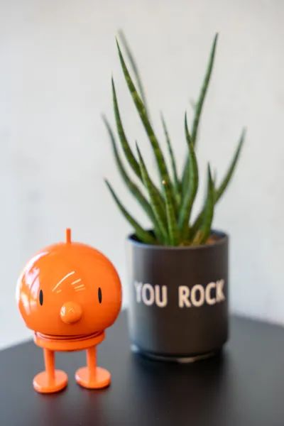 Dekorative Accessories für das gemütliche Büro